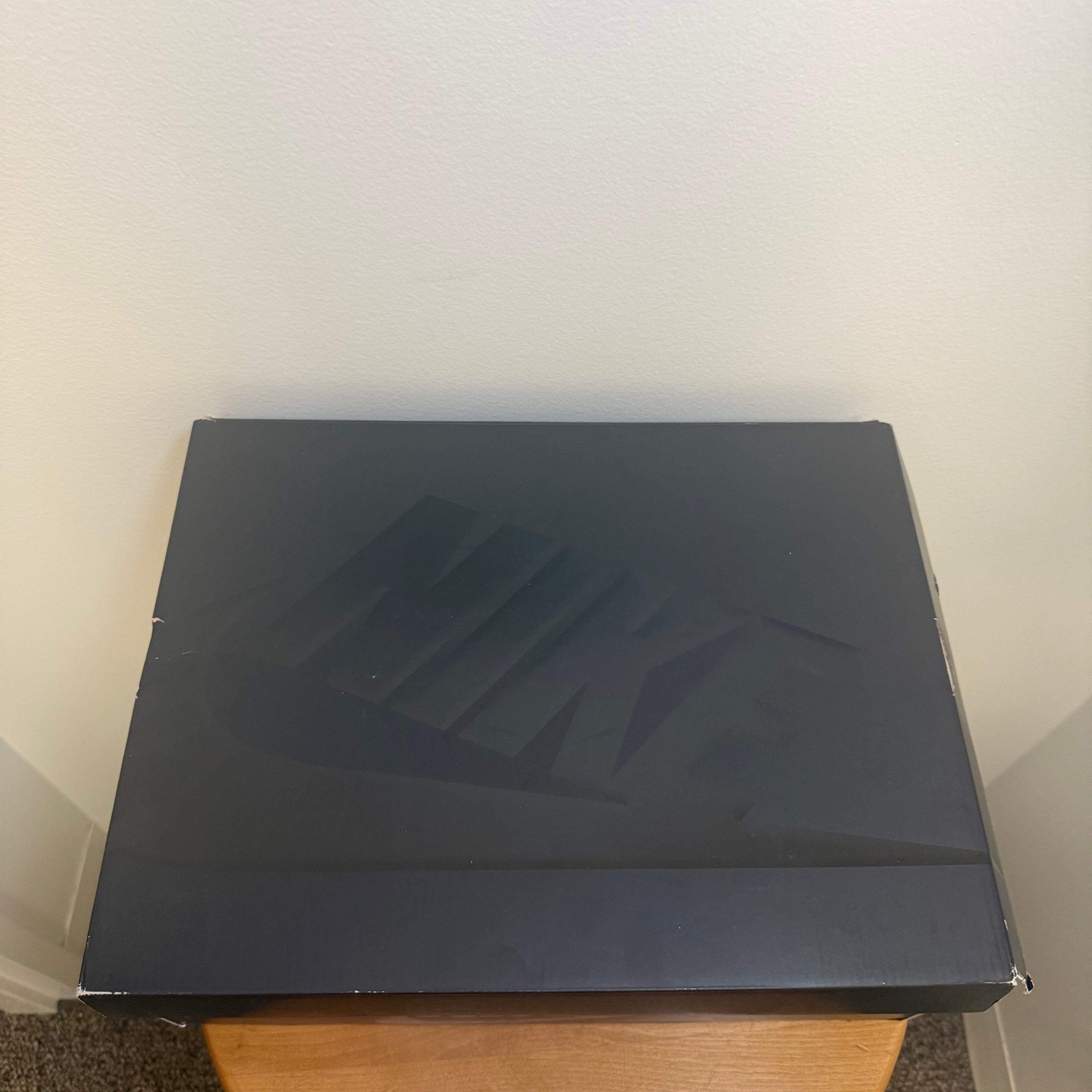 Brand New Nike Air Max Goadome ACG Pony Hair Black Size 12