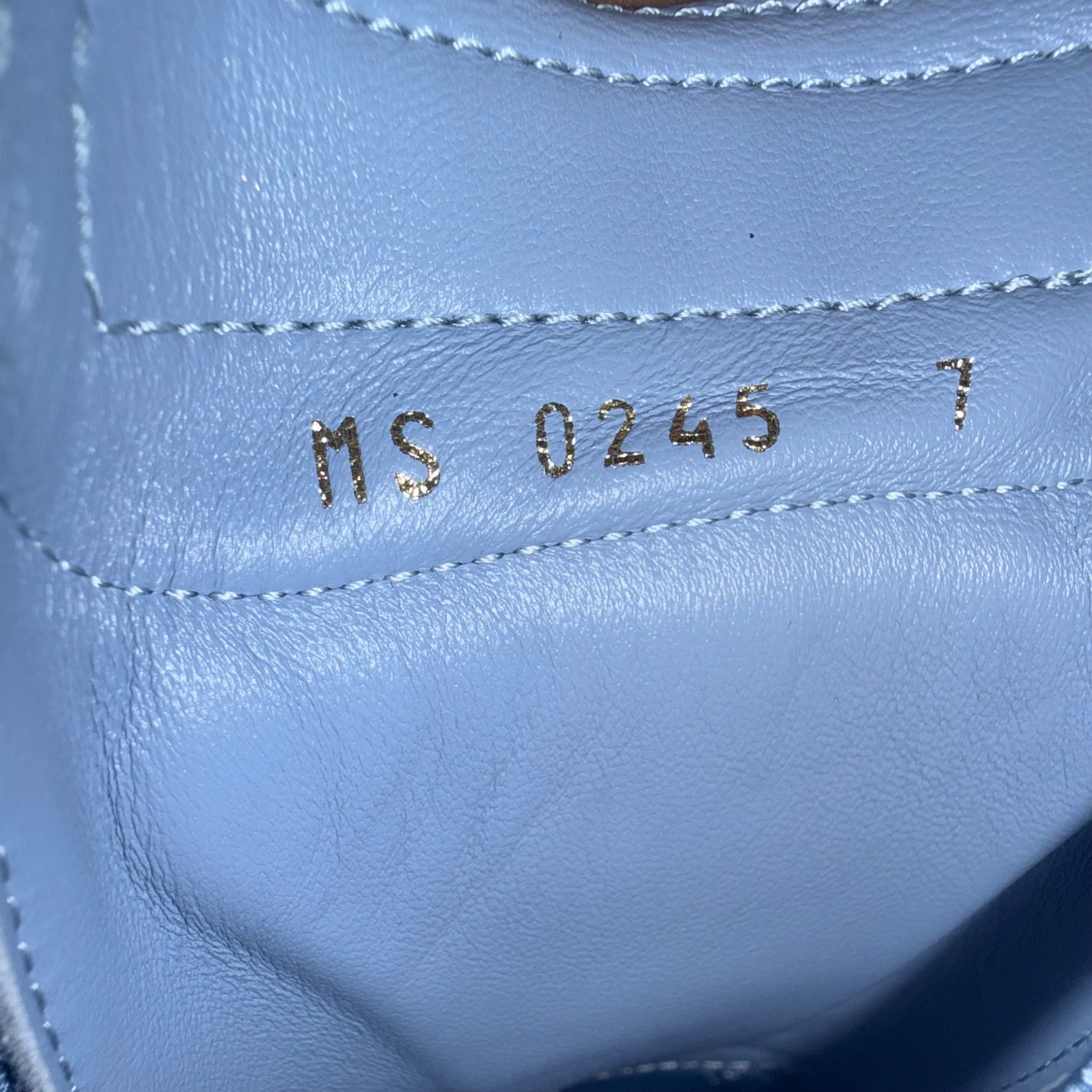 Louis Vuitton Blue Footprint Sneaker Size 9 US (7 LV)