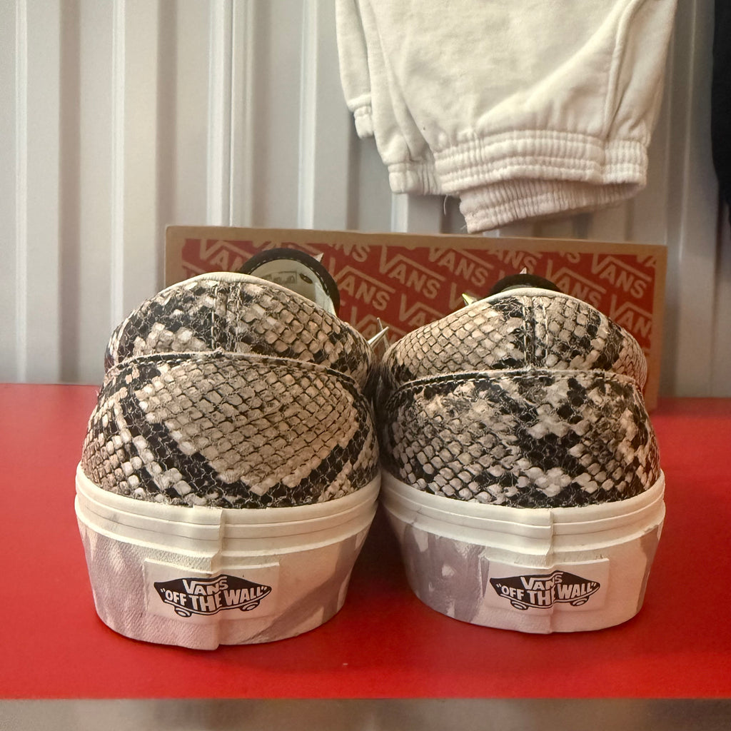 Vans x Dumbo Slip Ons Size 10