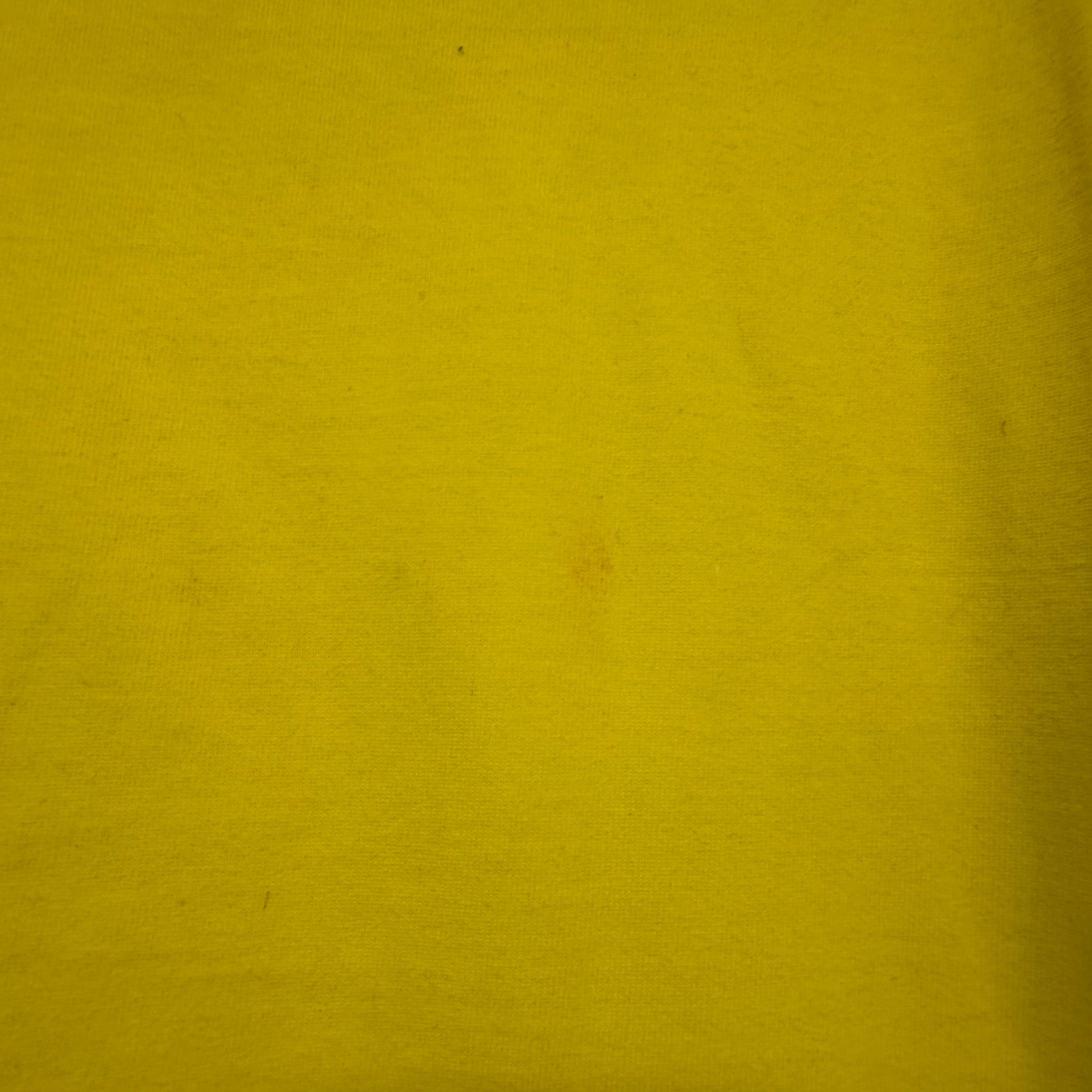 Dior x Shawn Oversized Logo T-Shirt Yellow Sz Large