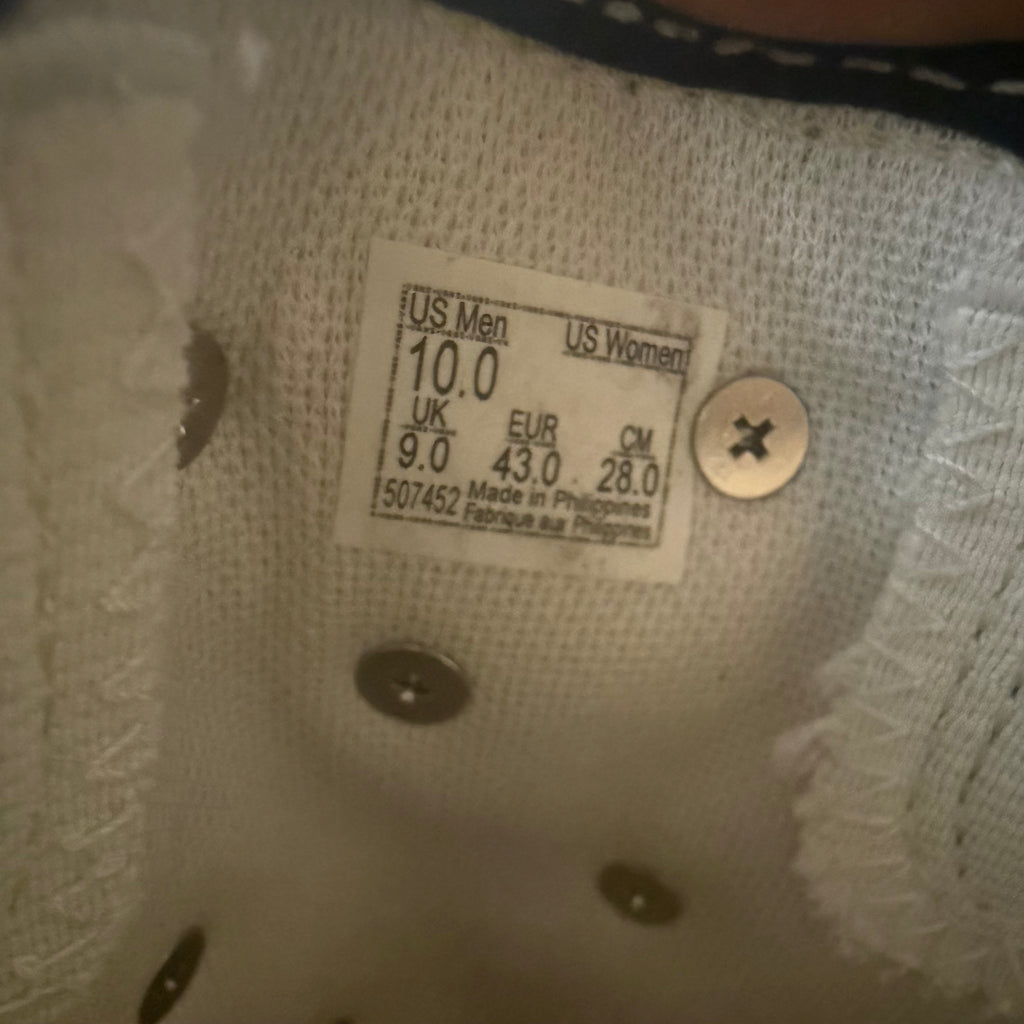 Vans x Dumbo Slip Ons Size 10